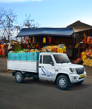 Longer Cargo Box Fruits and Vegetables Delivery