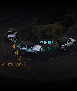 Electronic Stability Program